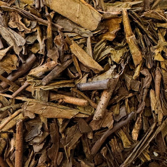 HOJICHA
