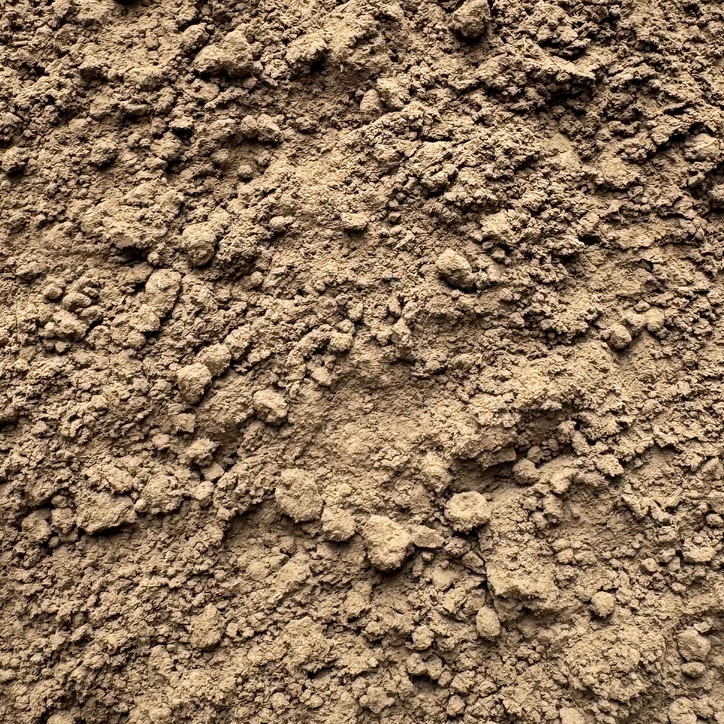 Hojicha milteliai