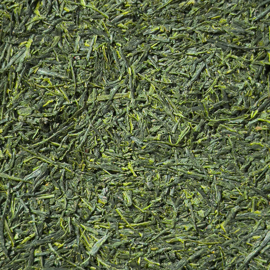 SENCHA Tsuyuhikari